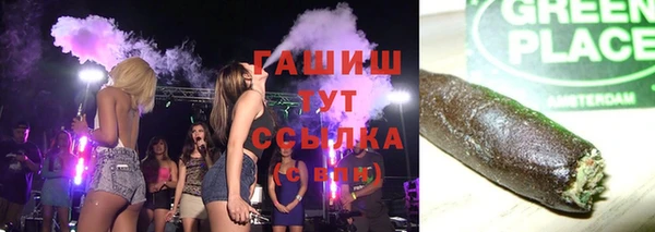 прущие грибы Дмитров