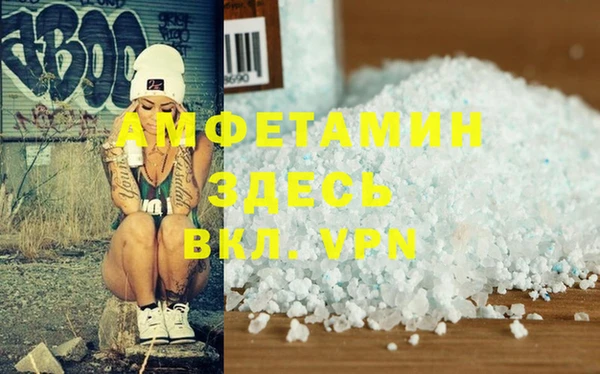 прущие грибы Дмитров
