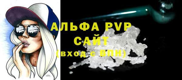 прущие грибы Дмитров