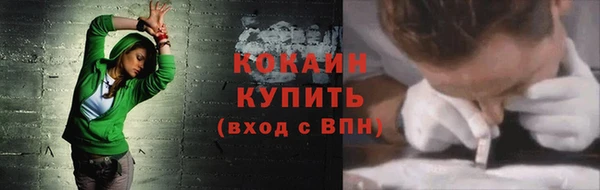прущие грибы Дмитров