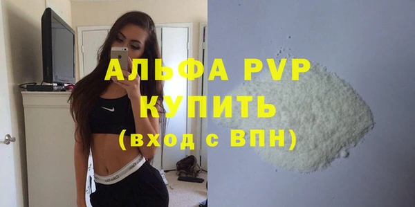 прущие грибы Дмитров