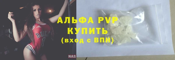 прущие грибы Дмитров