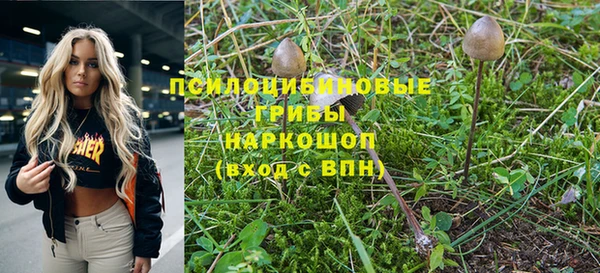 стафф Дмитровск