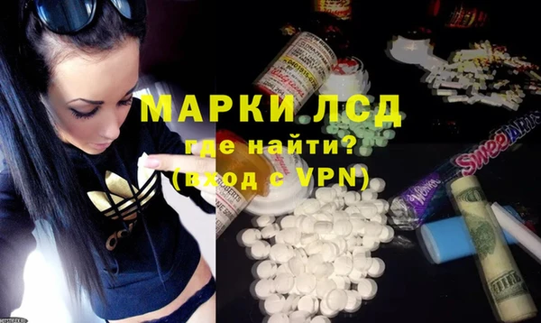 прущие грибы Дмитров