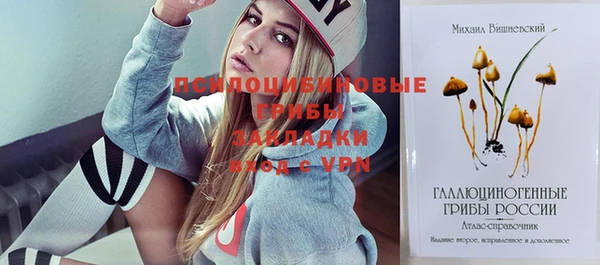 стафф Дмитровск