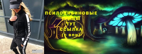 прущие грибы Дмитров