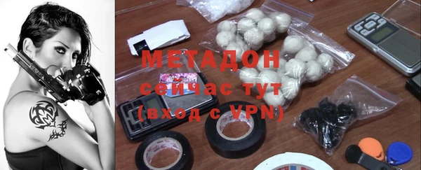прущие грибы Дмитров