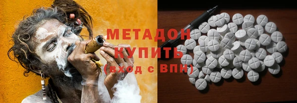 прущие грибы Дмитров