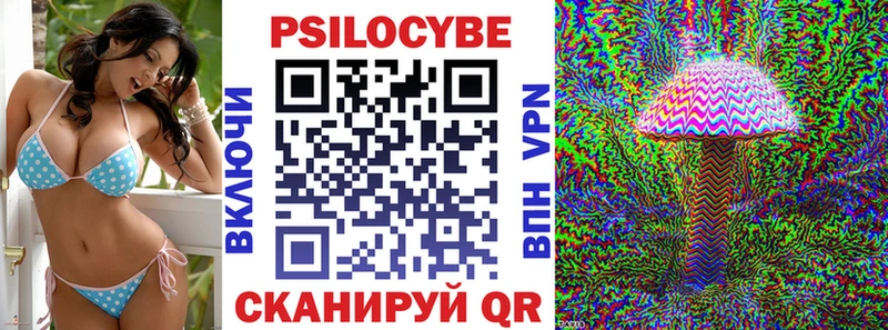 Псилоцибиновые грибы Psilocybe Ельня